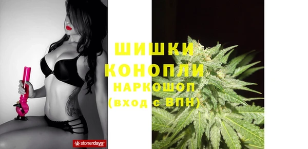 сатива Навашино
