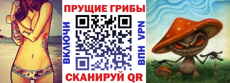 Псилоцибиновые грибы Cubensis  Купить закладки  Ивантеевка 